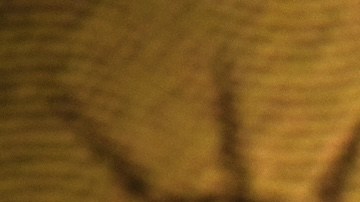 La Casa Blanca dice que bajo el nuevo programa, los titulares de tarjetas "recibirán la residencia estadounidense en un tiempo récord".