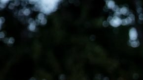 Si bien no se espera que la IA reemplace por completo a los empleados humanos, podría alterar la forma en que se realiza el trabajo, dijo el director ejecutivo.