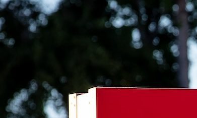 Si bien no se espera que la IA reemplace por completo a los empleados humanos, podría alterar la forma en que se realiza el trabajo, dijo el director ejecutivo.