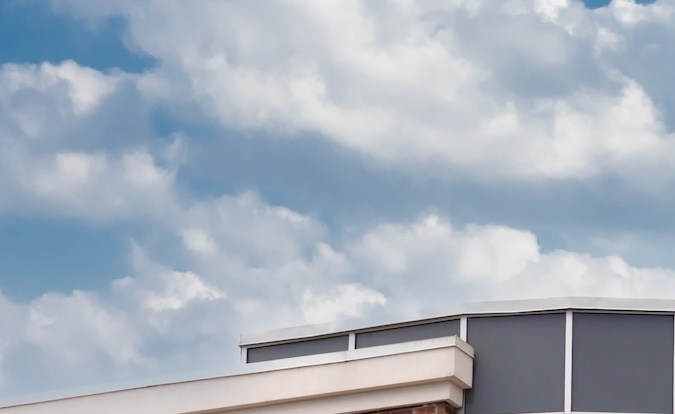 Whole Foods es un destino para hallazgos únicos, alimentos gourmet preparados y productos de origen ético, atractivo para los compradores preocupados por la salud.