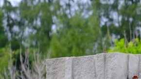 Publix es conocido por su excepcional servicio al cliente, sus famosos "Pub Subs", sus ofertas BOGO y por ser la empresa propiedad de sus empleados más grande de EE.UU.