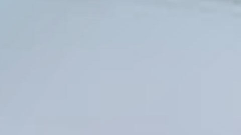 Administración del Seguro Social