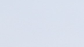 Carritos ambulantes en California