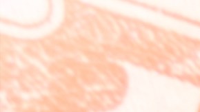 Ingresos exentos de impuestos