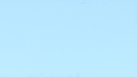 Personas viviendo en Illinois