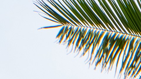 Venta corta de una casa