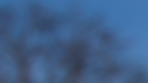 Venta de casa en invierno