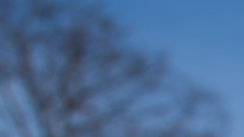 Venta de casa en invierno