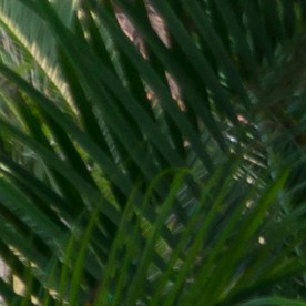 Adultos mayores en NJ