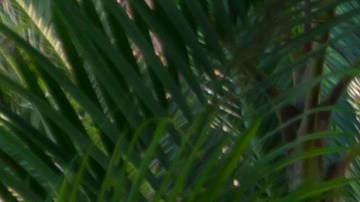 Adultos mayores en NJ