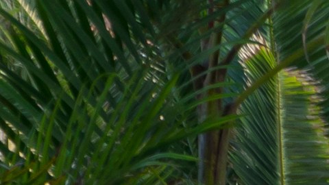 Adultos mayores en NJ