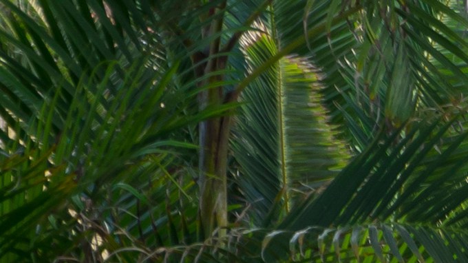 Adultos mayores en NJ