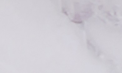 Cheque de estímulo en Estados Unidos