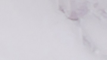 Cheque de estímulo en Estados Unidos