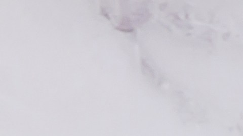 Cheque de estímulo en Estados Unidos