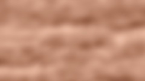 Pagos del Seguro Social