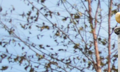 Comprar casa en EE.UU.