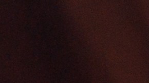 Empresa en Estados Unidos