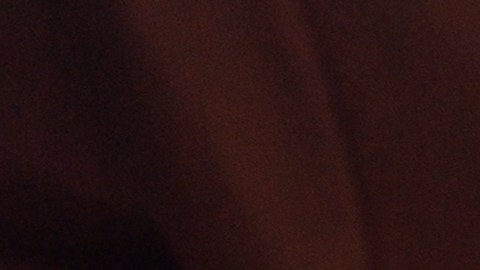 Empresa en Estados Unidos