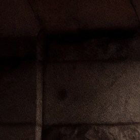 Gente en Estados Unidos