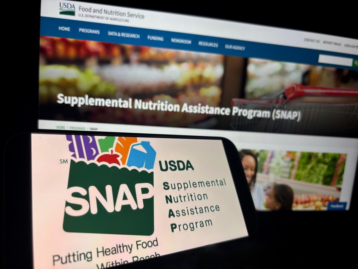 Qué hacer si perdiste los beneficios SNAP en Estados Unidos y cómo ...
