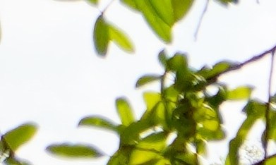 Demanda contra Walmart por pagos engañosos: detalles del acuerdo de $100 millones.