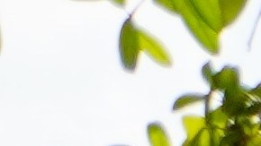 Demanda contra Walmart por pagos engañosos: detalles del acuerdo de $100 millones.