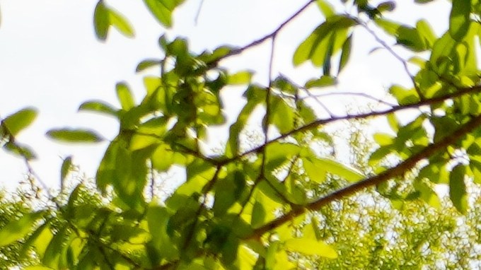 Demanda contra Walmart por pagos engañosos: detalles del acuerdo de $100 millones.