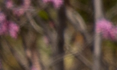 Administración del Seguro Social