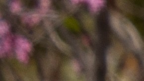 Administración del Seguro Social