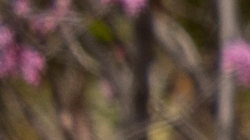 Administración del Seguro Social