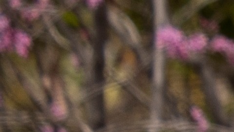 Administración del Seguro Social