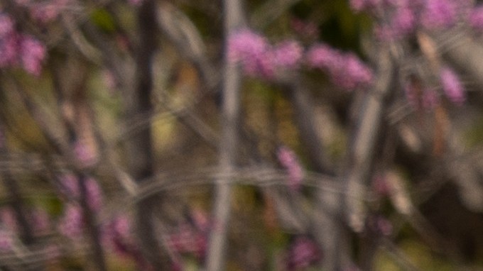 Administración del Seguro Social