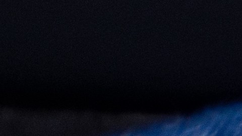 Cheque de estímulo en Estados Unidos