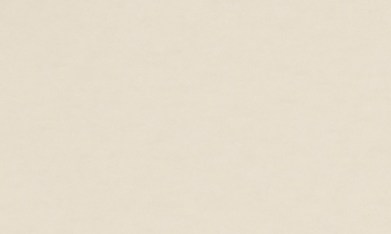 Impuestos especiales