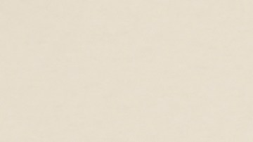 Impuestos especiales