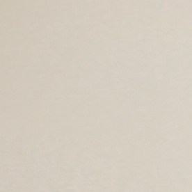 Niña latina en Estados Unidos