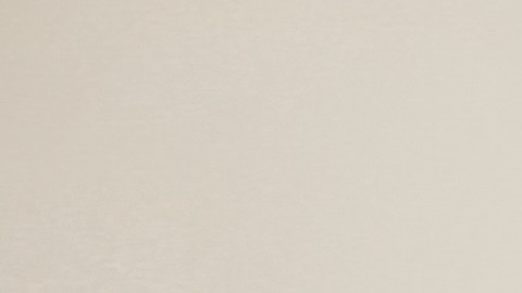 Niña latina en Estados Unidos