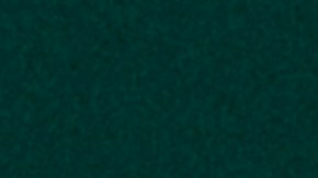 Seguro de vida, lo que tienes que saber.