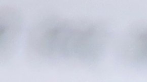 El IRS aún tiene cheques de estímulo que no cobraste