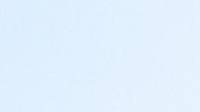 ¿Qué son las regalías?