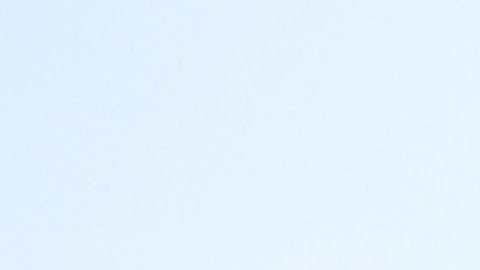 ¿Qué son las regalías?