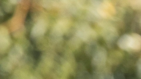 Gasolina en Estados Unidos