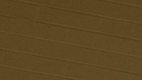 JC Penney
