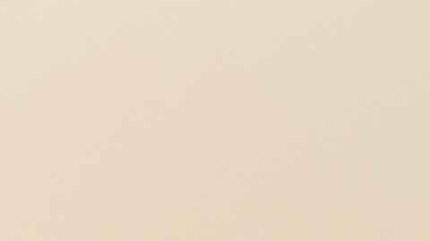 Pareja de enamorados en Estados Unidos