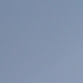 Bandera de Texas