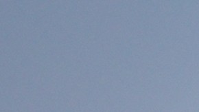 Bandera de Texas