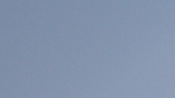 Bandera de Texas