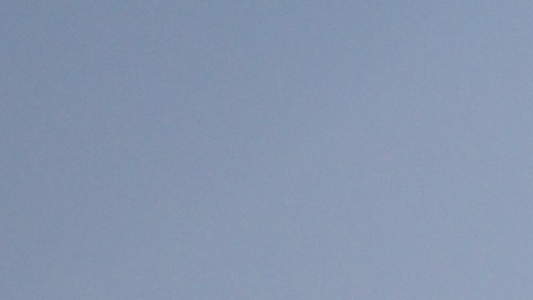 Bandera de Texas