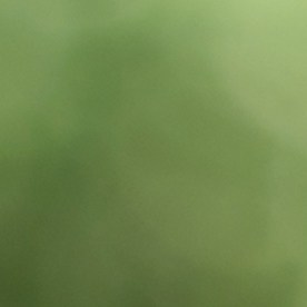 Fondo fiduciario del Seguro Social